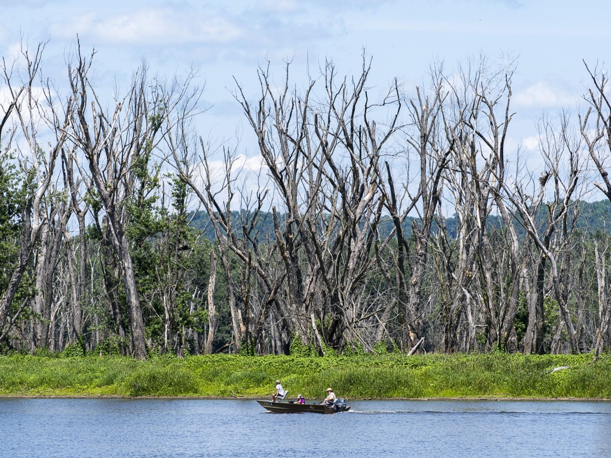 Summer of weather records one reason we’re talking water quality in La Crosse Sept. 21