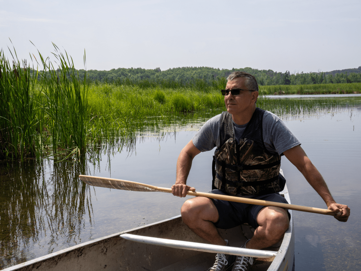Climate change, more rainfall threatens wild rice in northern Minnesota